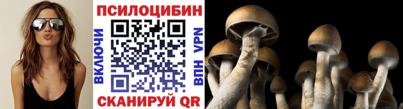 Галлюциногенные грибы ЛСД  Новосокольники 